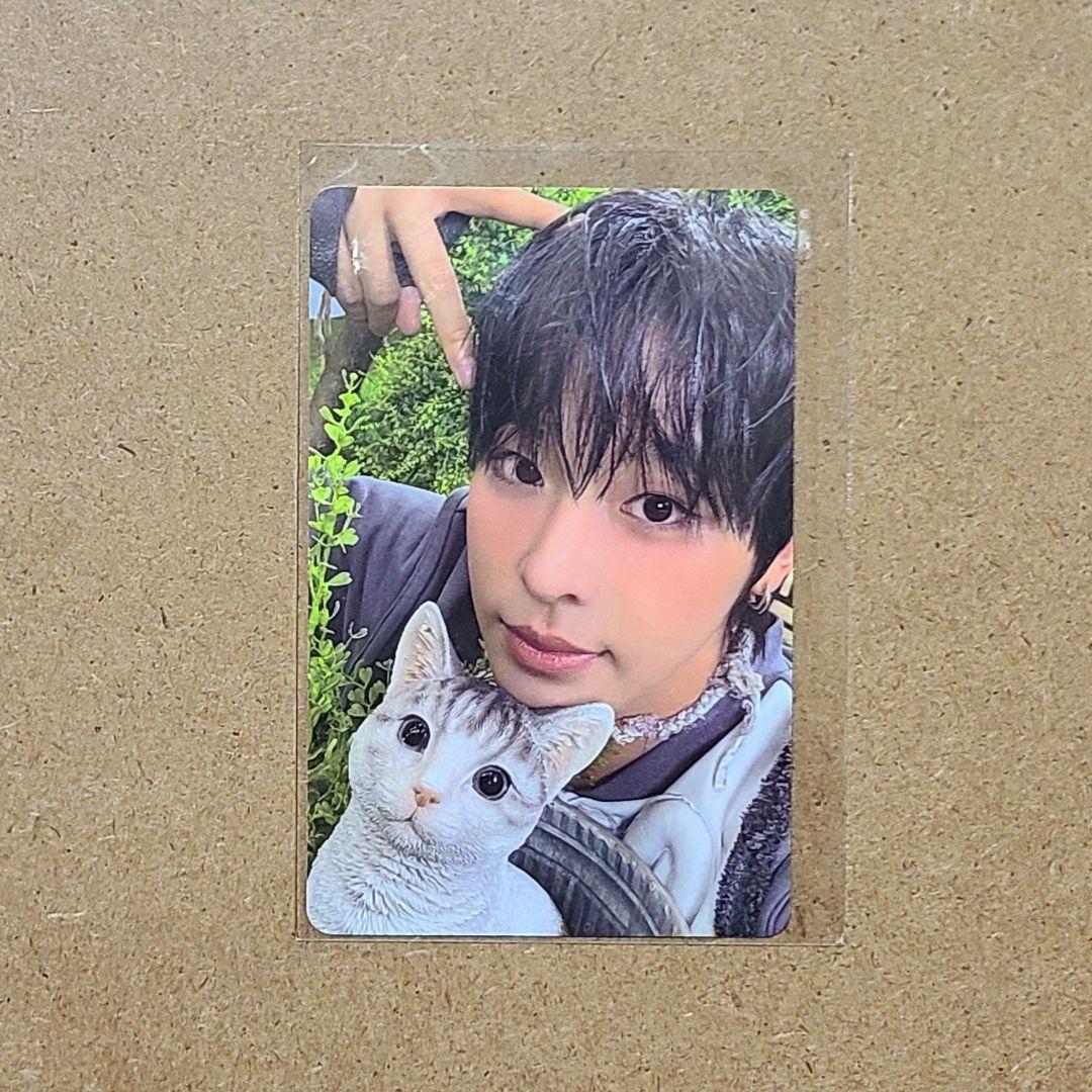 nct wish wishdoll リク クリ シークレット color