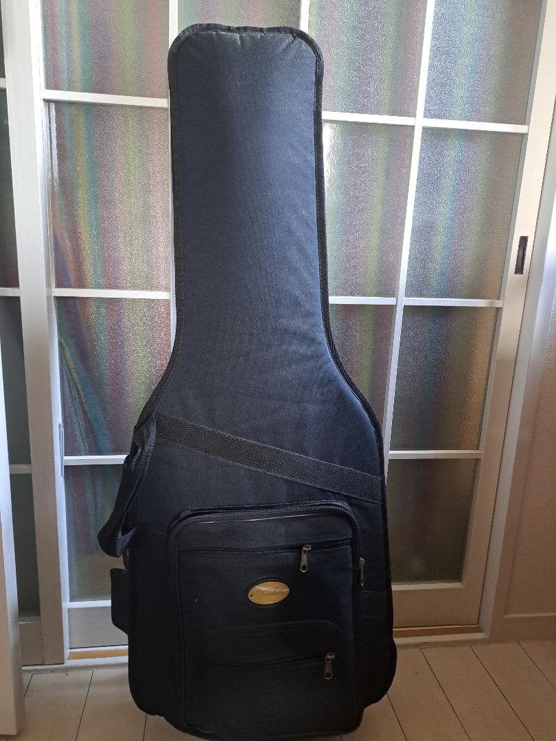 Bacchus　エレキギター　Fenderケース付き