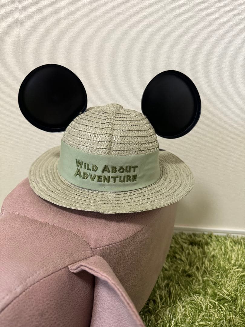 wdw 帽子