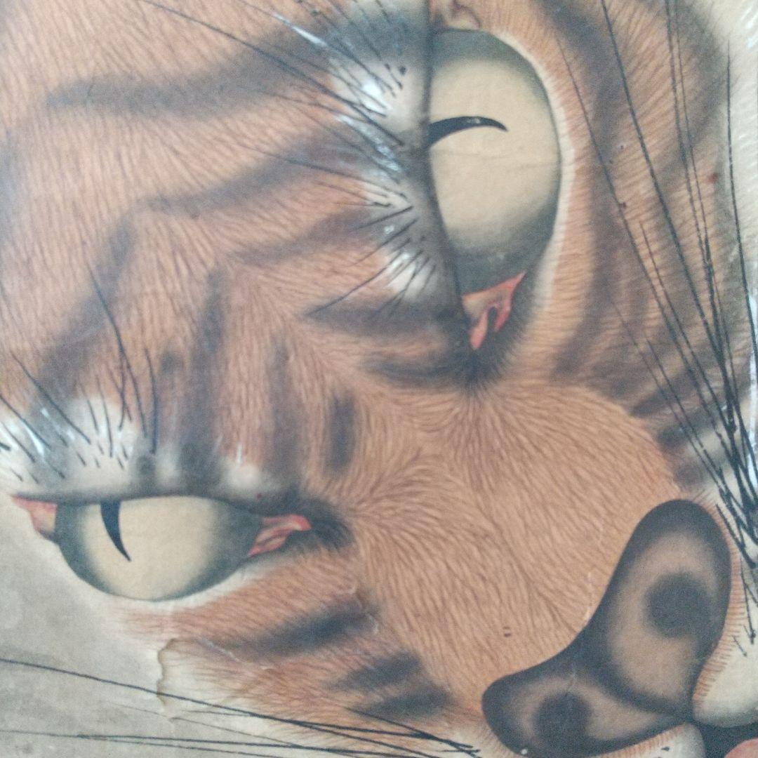 江戸絵画  虎  掛け軸  肉筆  江戸時代  貴重  骨董  茶道具