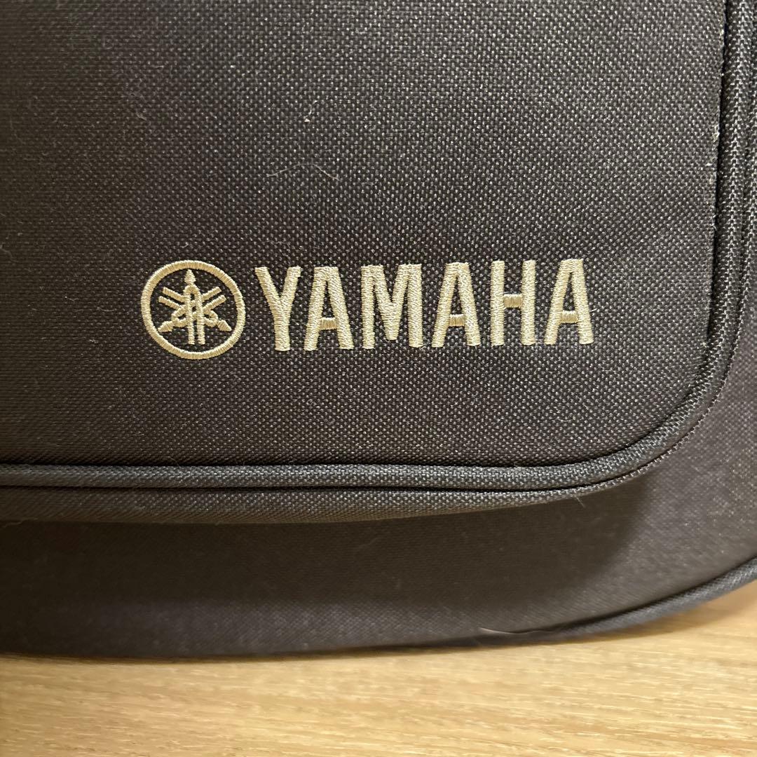 ヤマハ YAMAHA LL6 ARE