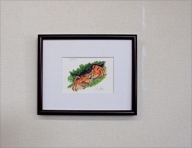 生物細密画「サワガニの食事」