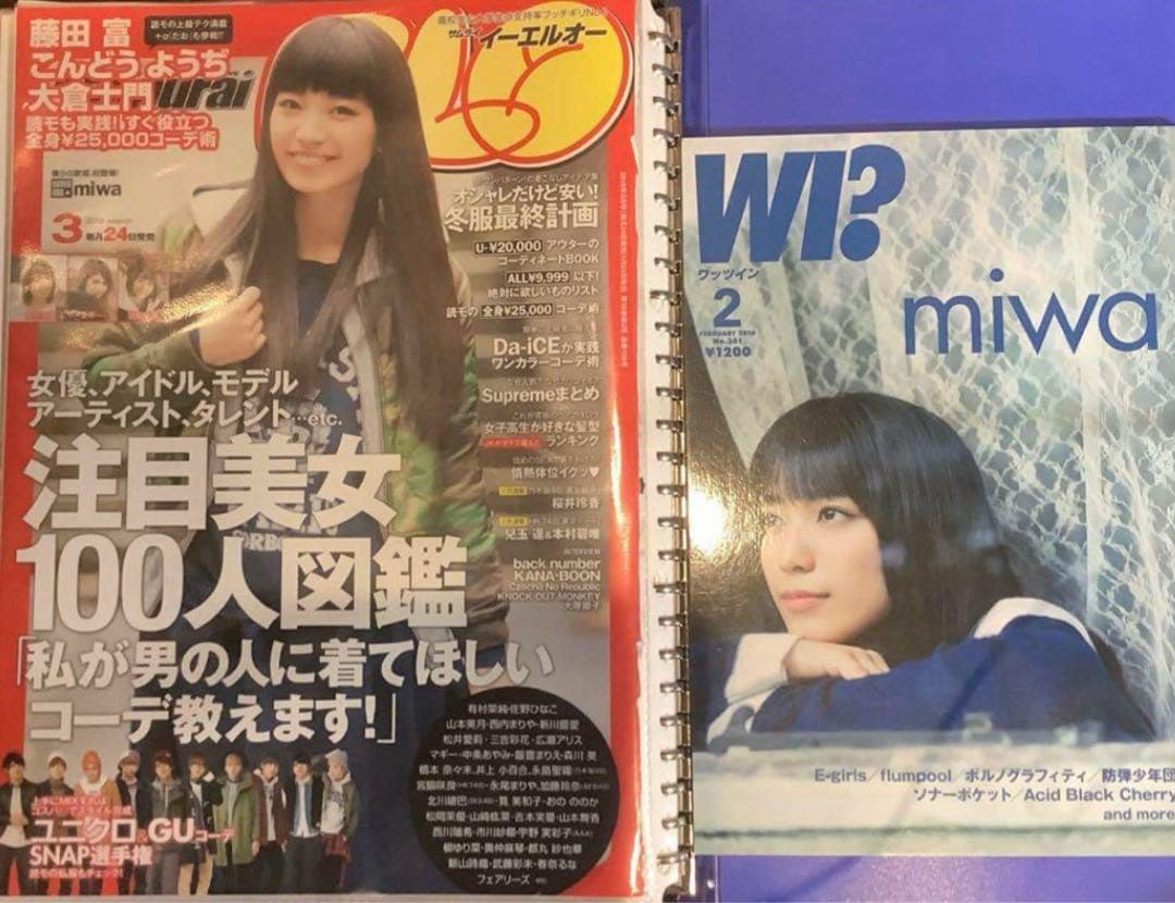 【300P以上】お値段以上　miwa 切り抜き　スタイルブック本　素人切り抜き