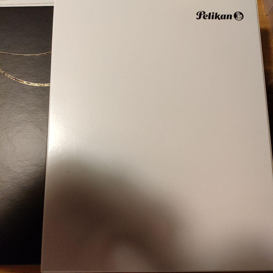 ペリカン 万年筆 アートコレクション グラウコ・カンボン　限定