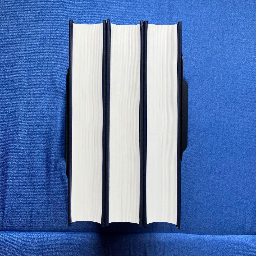 世界歴史大系 フランス史 1~3巻セット 山川出版社 世界各国史 通史 概説