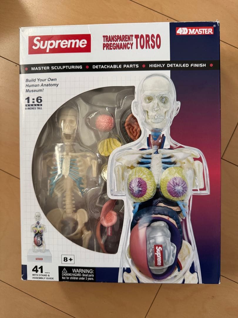 SUPREME 18AW Female Anatomy Model 人体模型