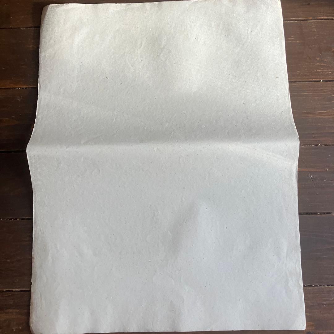 1827年フランスアンティークリトグラフ　フランスアンティーク版画　植物画　大判