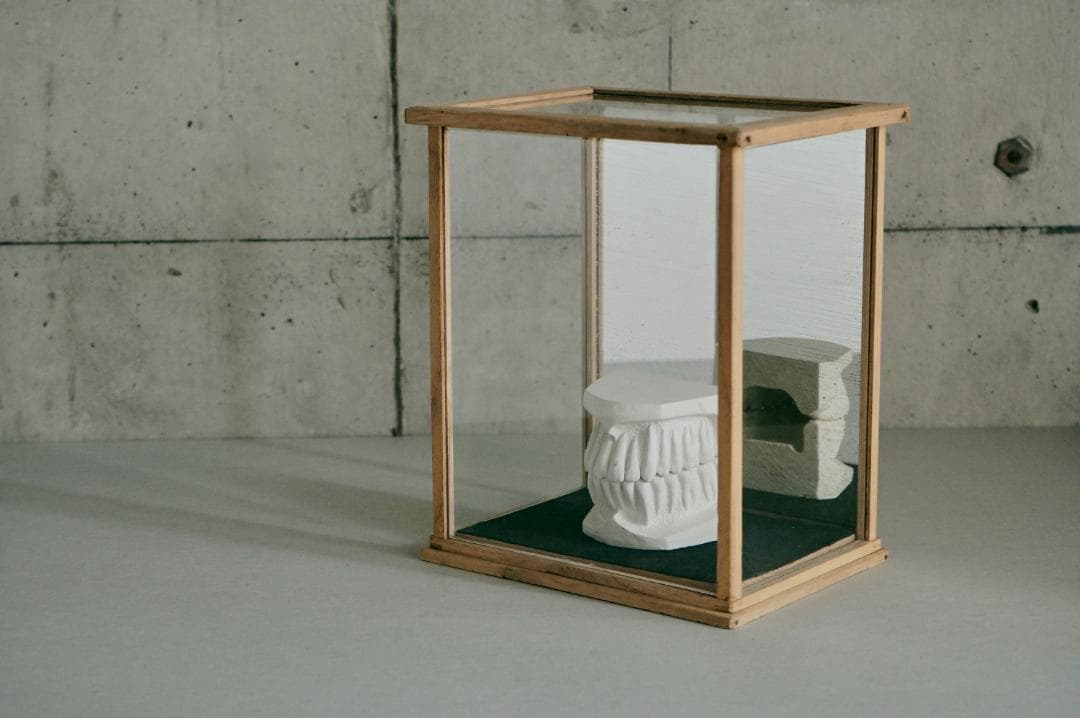 no.68 木枠とガラスのケース＋歯の石膏　セット販売　年始価格