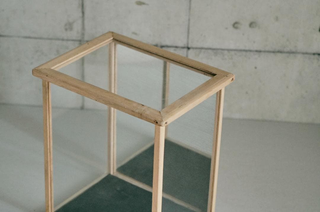 no.68 木枠とガラスのケース＋歯の石膏　セット販売　年始価格