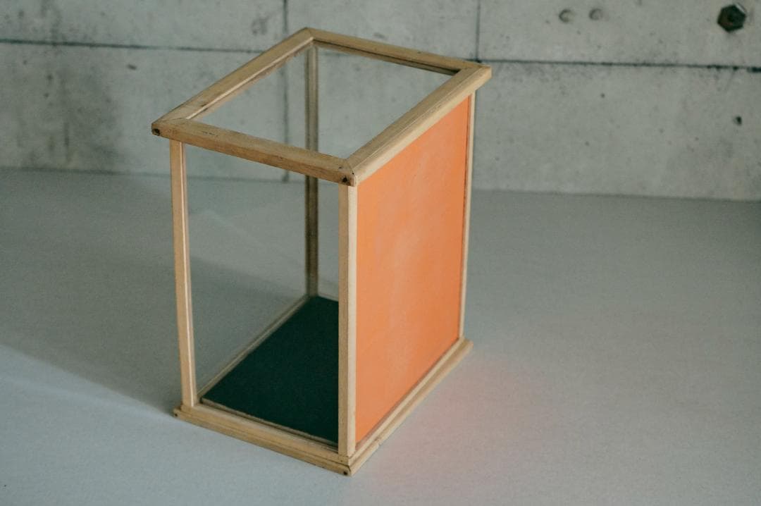 no.68 木枠とガラスのケース＋歯の石膏　セット販売　年始価格