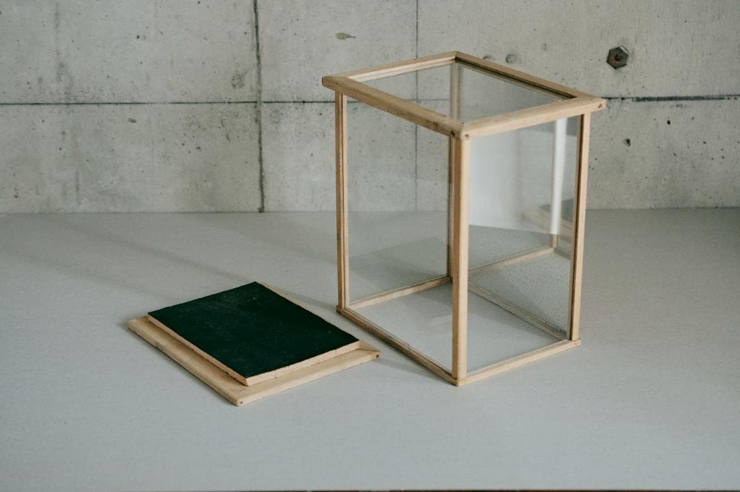 no.68 木枠とガラスのケース＋歯の石膏　セット販売　年始価格