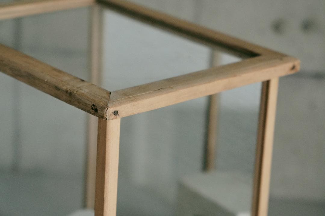 no.68 木枠とガラスのケース＋歯の石膏　セット販売　年始価格