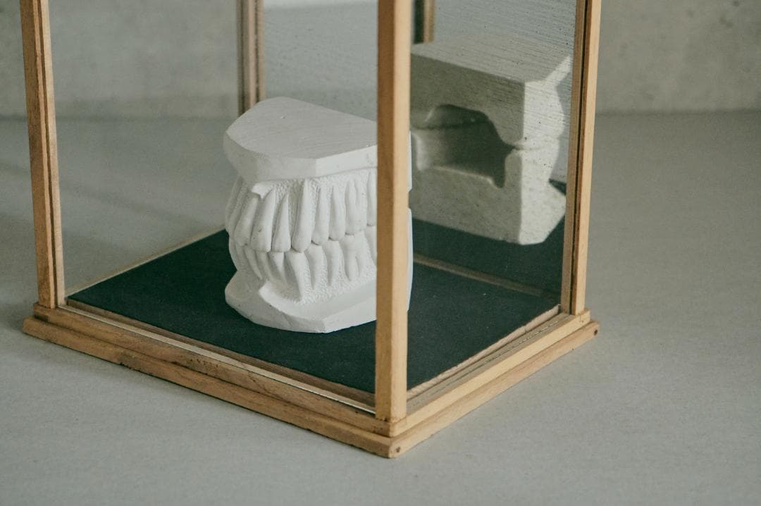 no.68 木枠とガラスのケース＋歯の石膏　セット販売　年始価格