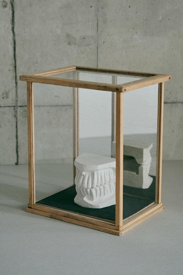 no.68 木枠とガラスのケース＋歯の石膏　セット販売　年始価格
