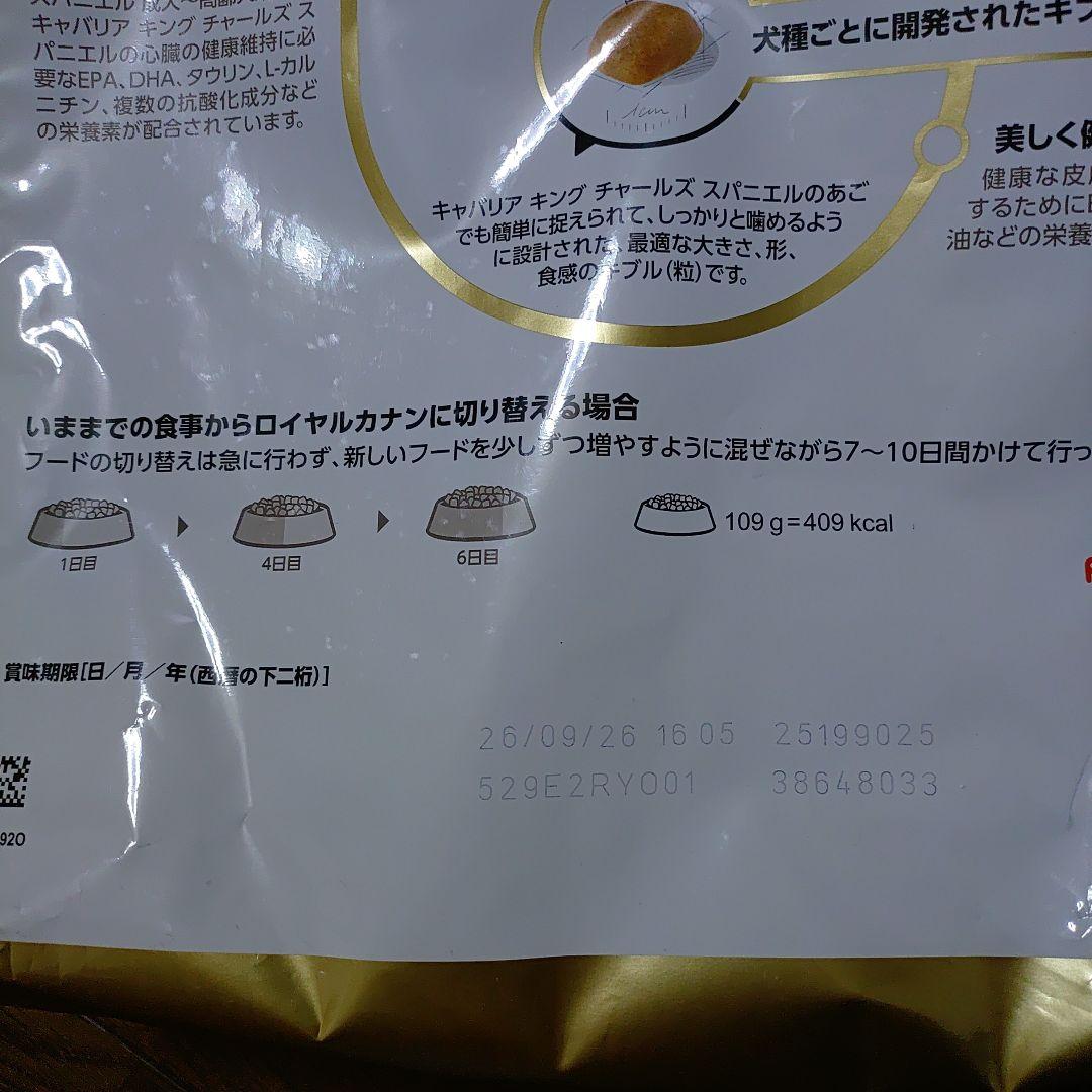  CANIN キング チャールズ スパニエル 6キロ