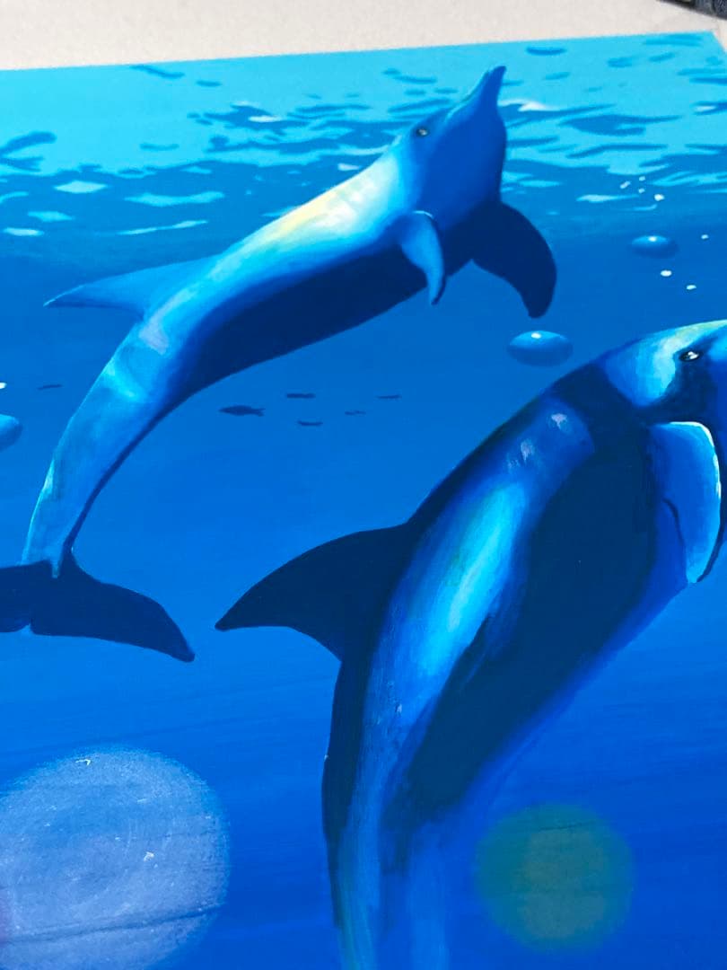 ドルフィン(原画)