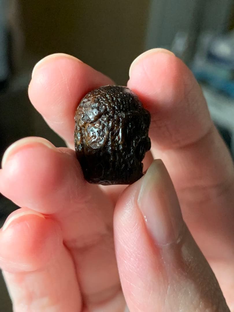 呪物　カパラ　チベット　カパーラ　頭蓋骨　数珠　根付　クマントーン　プラクルアン