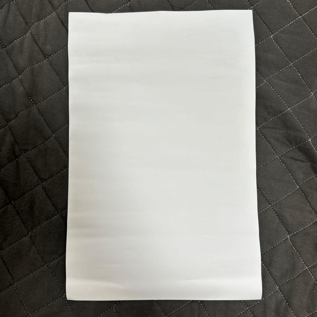 超限定品Billie Eilish ビリーアイリッシュ直筆サイン入りポスター