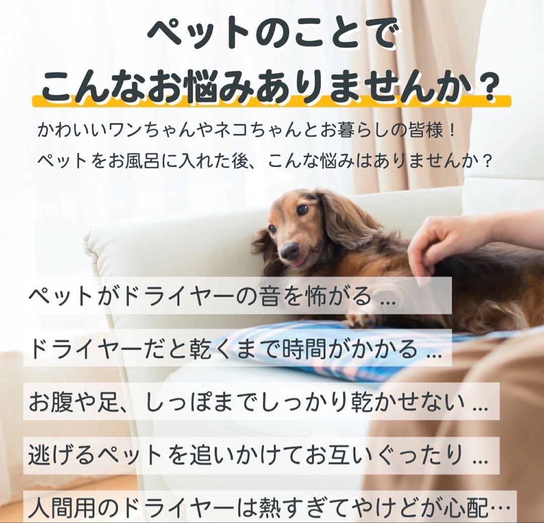 【美品】runpet PD50LE5NPN Drybo Plus