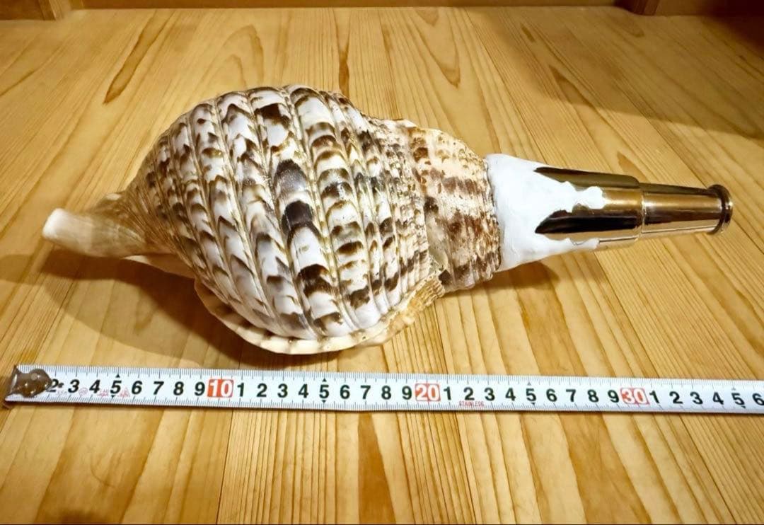 修験道法螺貝　山伏　密教　魔除け　熊よけ❣️ほら貝　ホラガイ