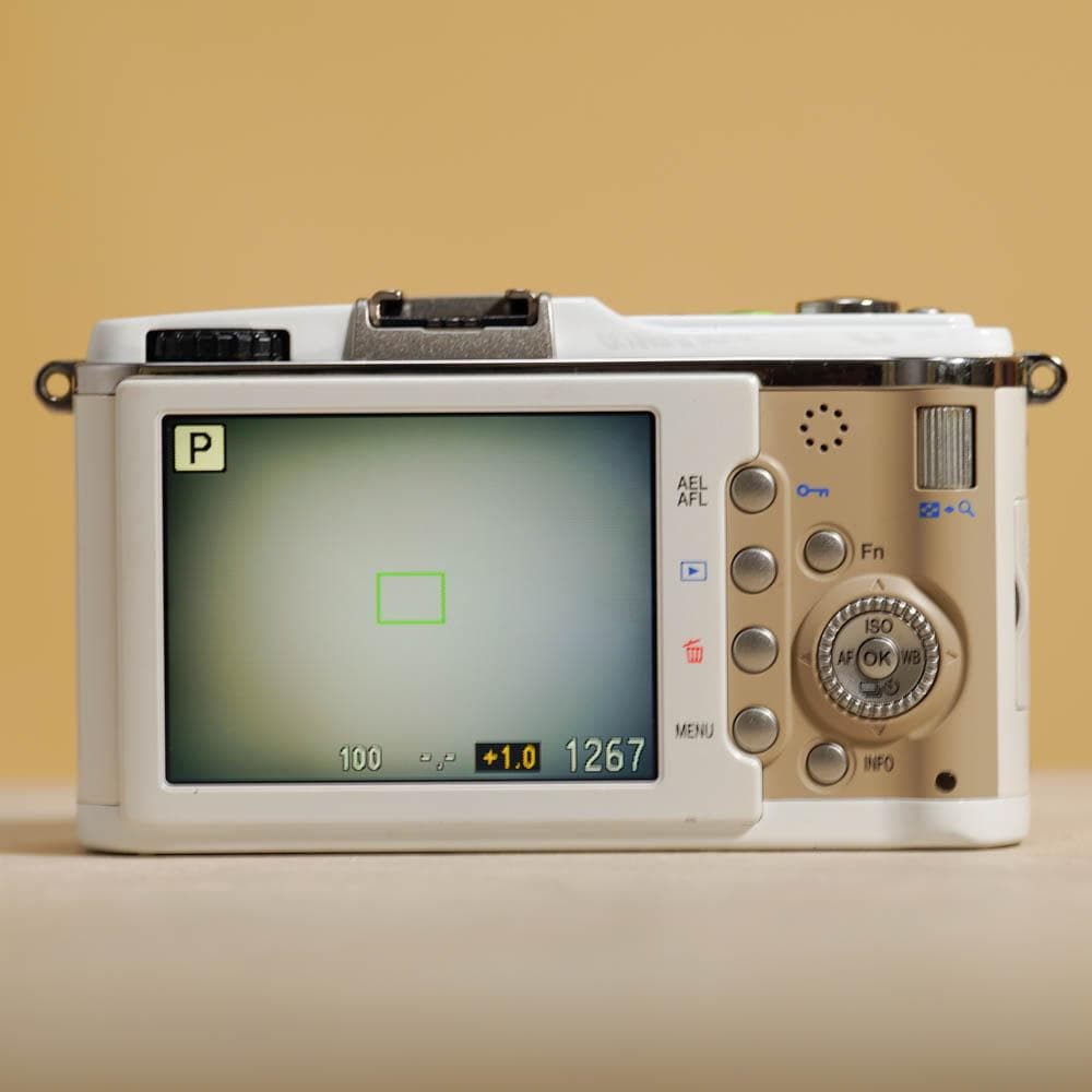 【写ルンです感覚のコンデジ】OLYMPUS PEN E-P1 24mm