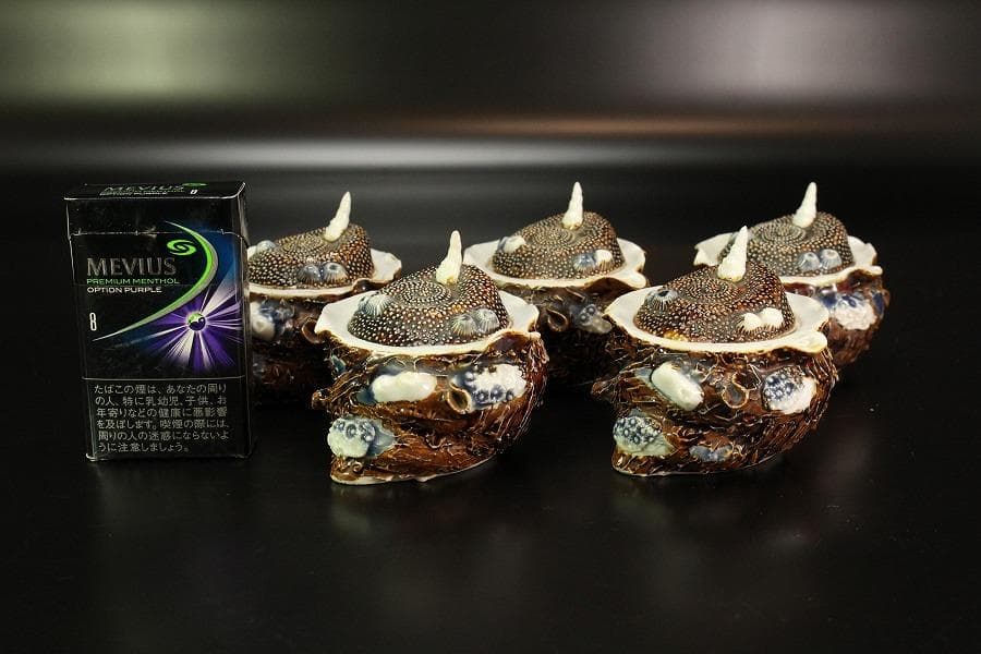 古平戸 名品 栄螺 蓋物 五件 京都料亭 蔵出