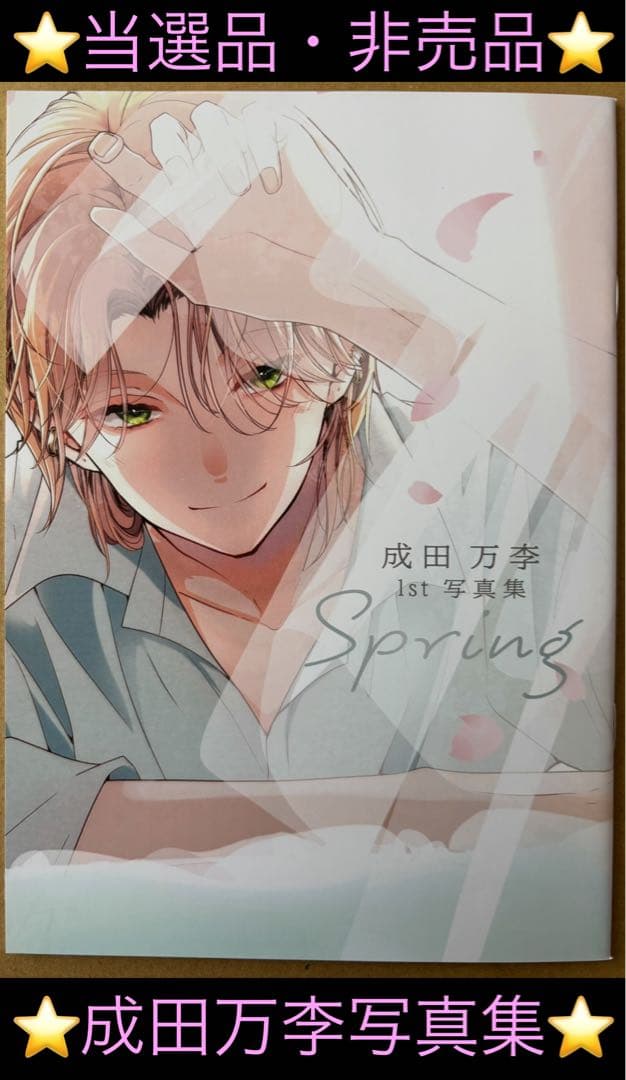 【当選品】 LaLa4月号ウチの万李がお世話になります 成田万李写真集【非売品】