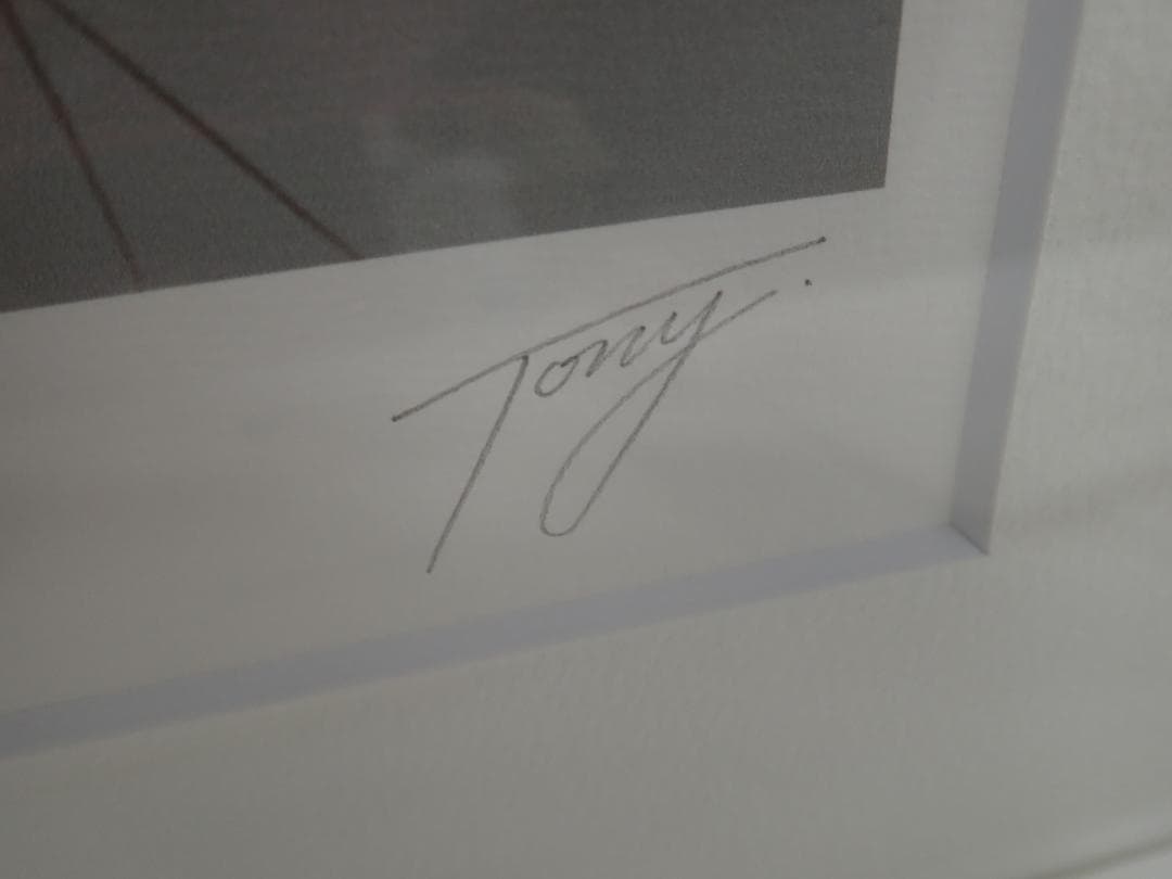 ㊱新品・保証書付 Tony　トニー「クララクラン」ミクスドメディア アールビバン