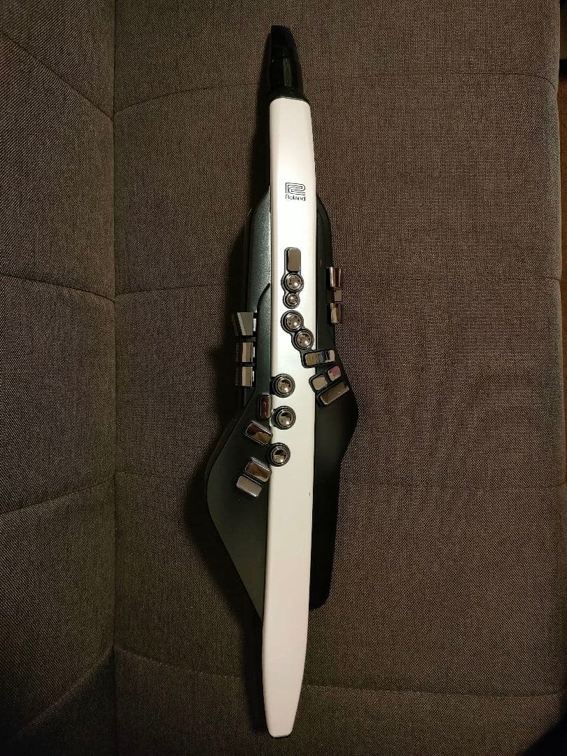 管楽器・吹奏楽器 Roland Aerophone AE-20 Wind Instrument