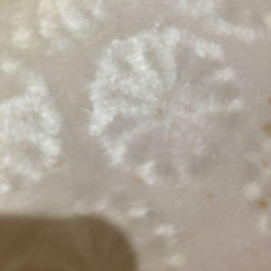 舟越　保武　ブロンズレリーフ　花