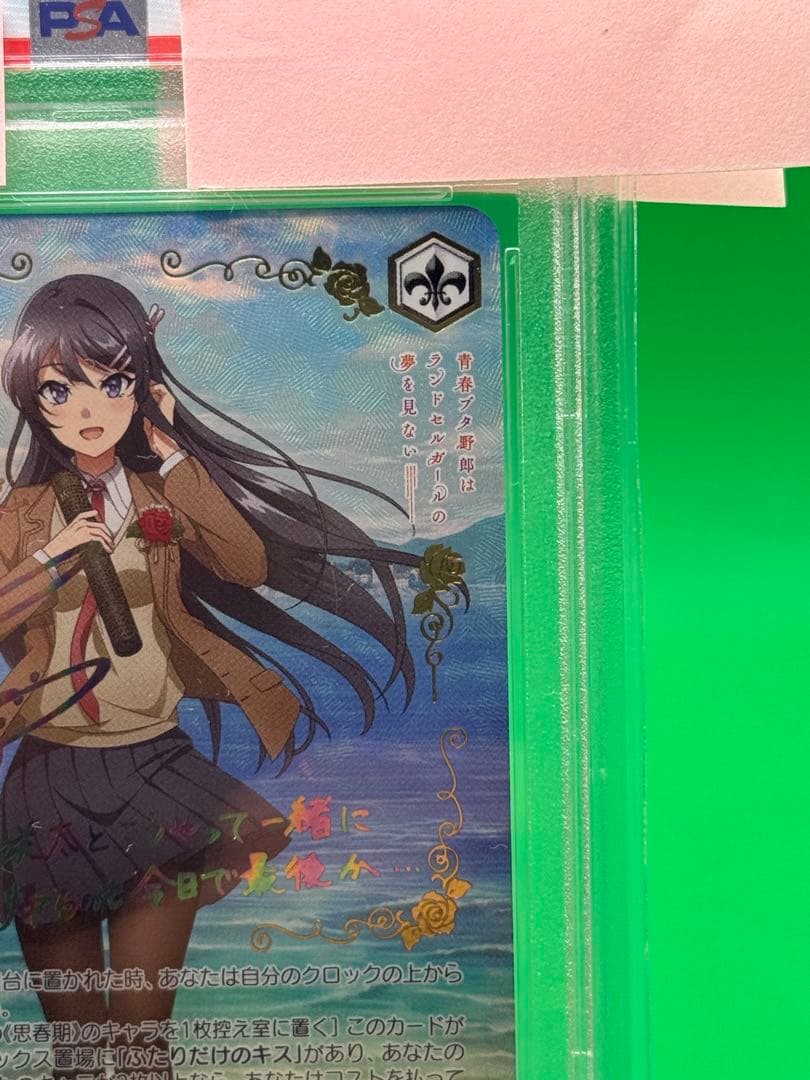 sakuta　君と過ごした一年間　桜島 麻衣