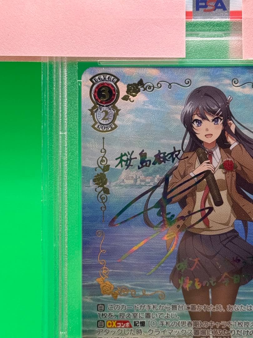 sakuta　君と過ごした一年間　桜島 麻衣