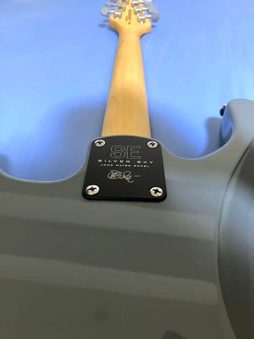 t.o.D[ほぼ新品]Silver sky PRS SE