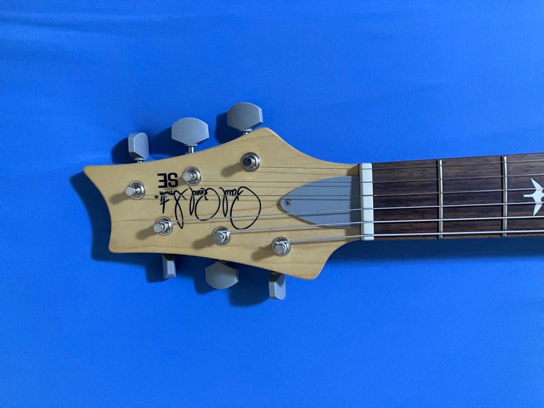 t.o.D[ほぼ新品]Silver sky PRS SE