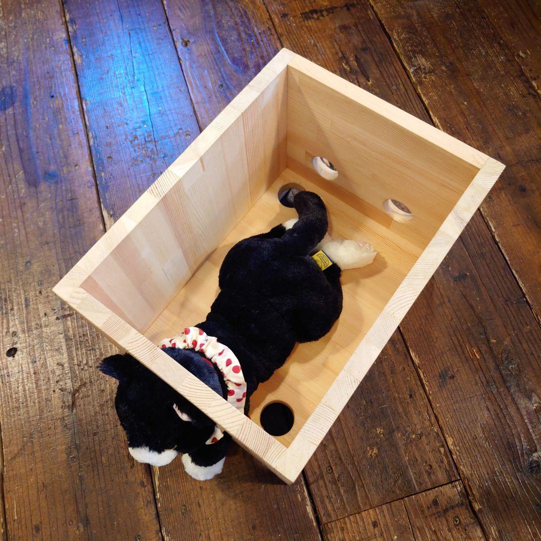 キャットハウス 猫ベッド リバーシブル DIY シンプルライフ 猫生活