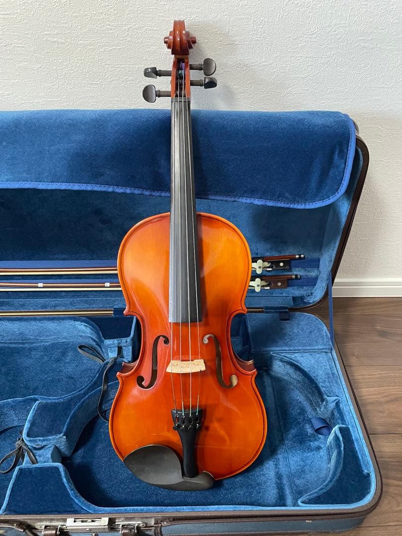 ビオラ　カルロジョルダーノ(VL-1)