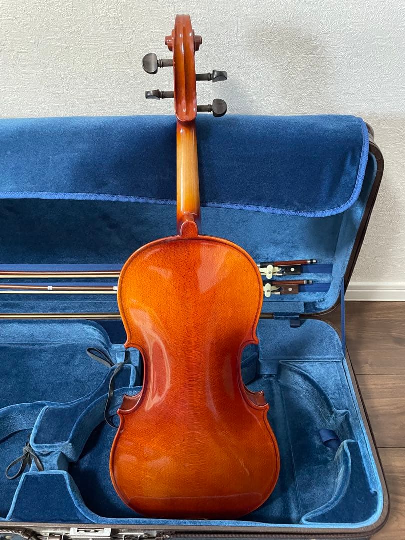 ビオラ　カルロジョルダーノ(VL-1)