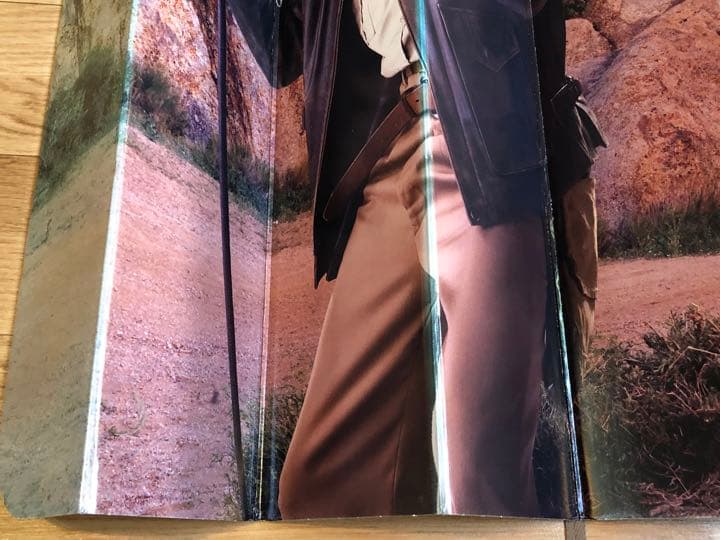 ハリソンフォードはインディジョーンズ