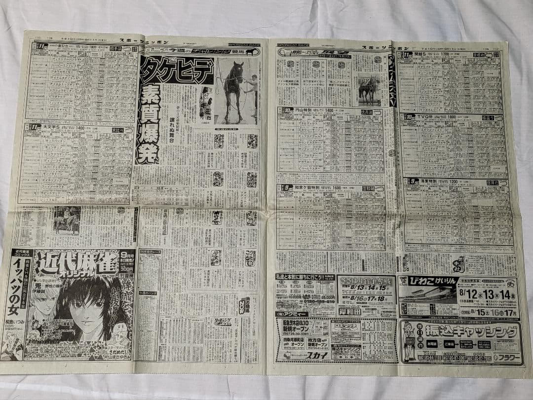 シーキングザパール　武豊　競走馬　写真パネル　額縁入り　スポーツ新聞付き