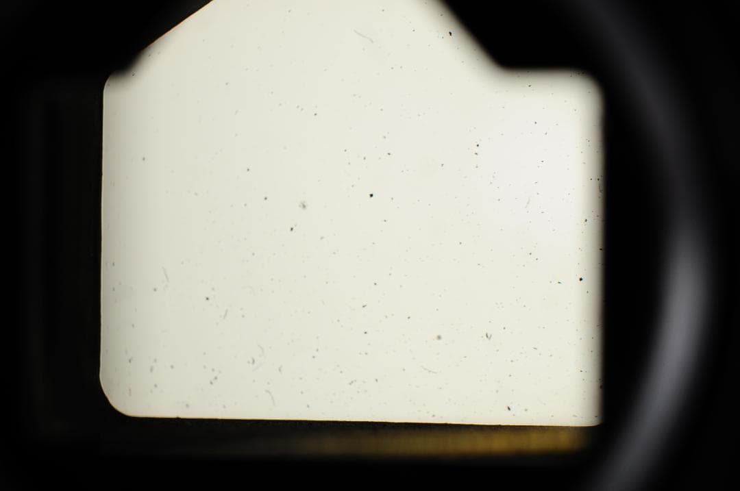 ニコン Nikon F フォトミック FTN ボディ 中期型 + 50mm F2