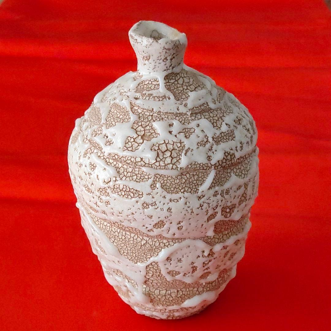 壺　岩月竹光　志野 C