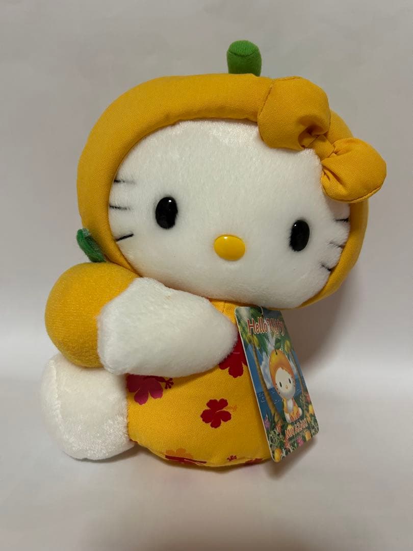 【激レア・タグ付き】アキ13点