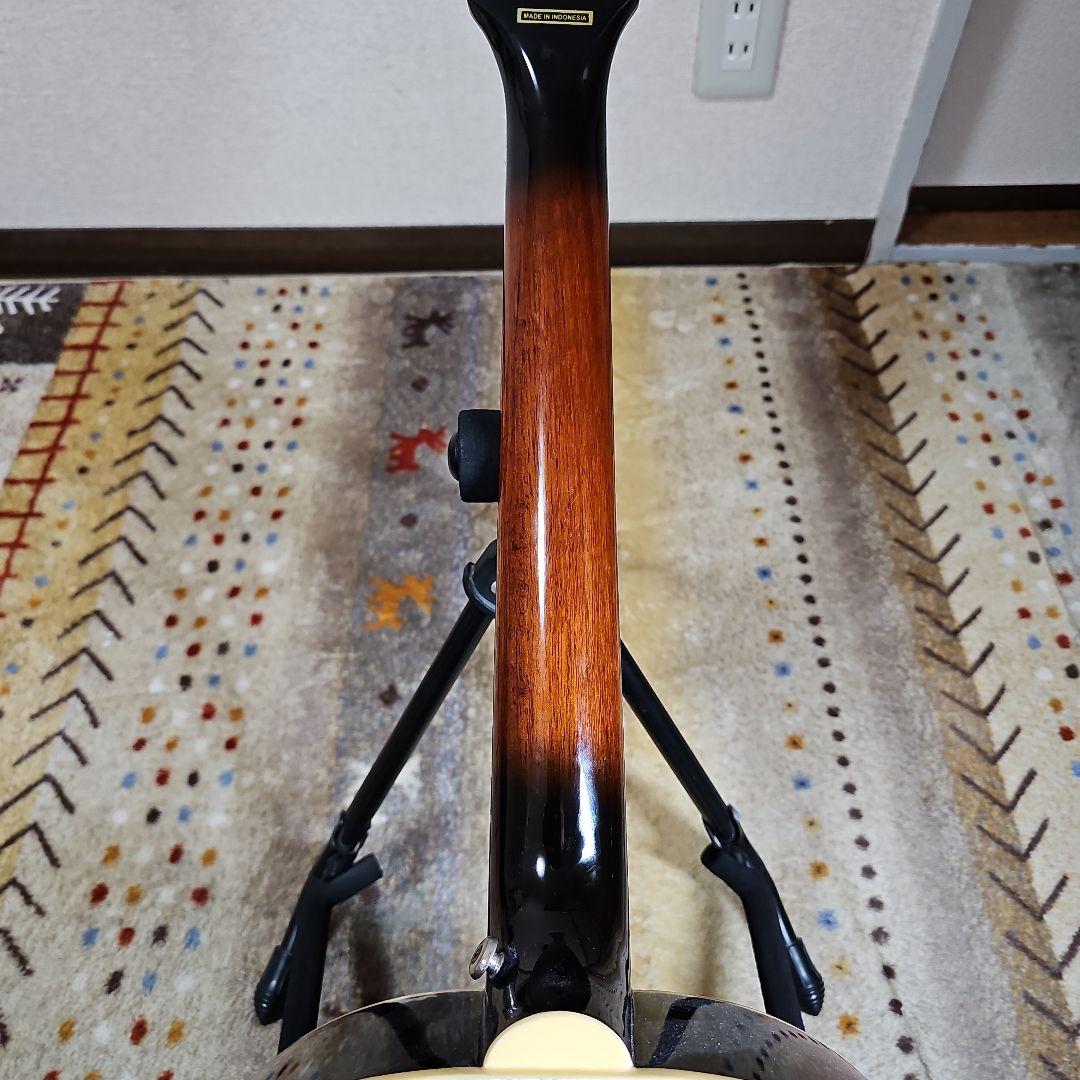 ギター Epiphone.EL-00PRO