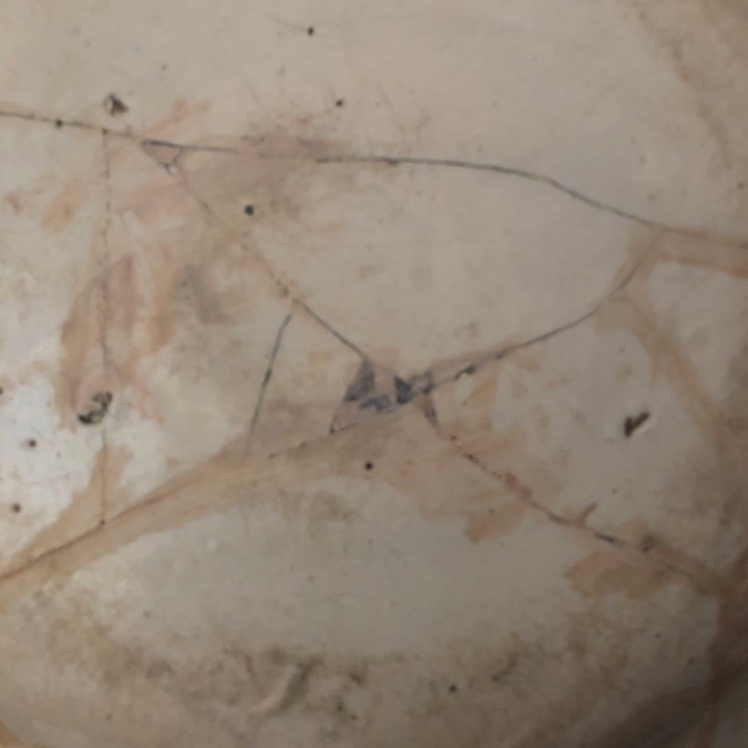 スペイン骨董　アンティーク　絵皿