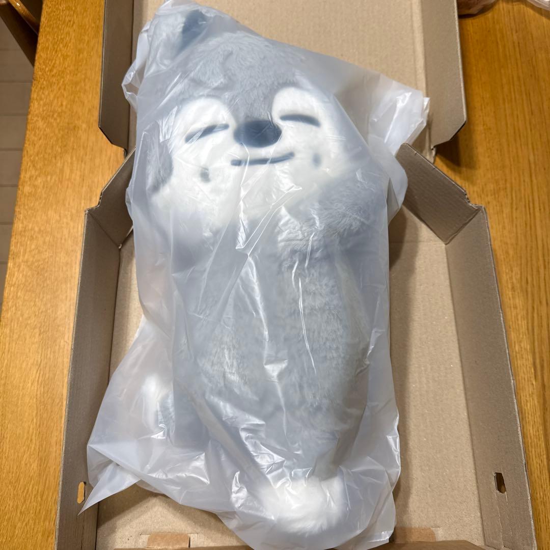 straykids celebrATE プラッシュバッグ ウルフチャン