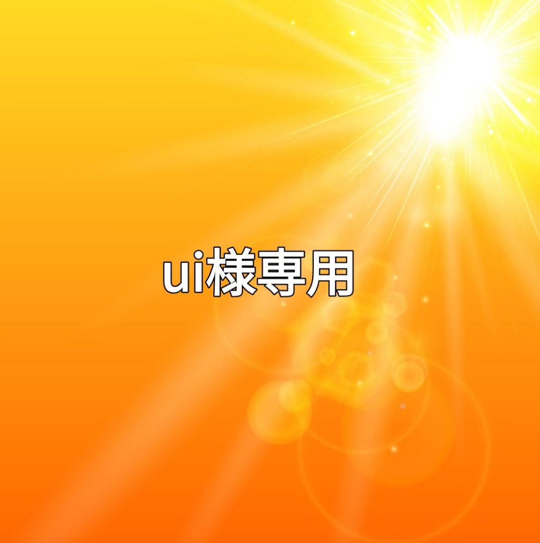 ミュージシャン ui