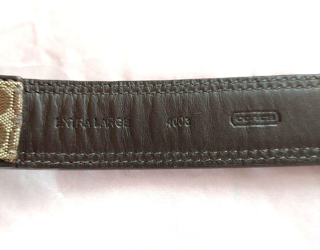 【新春セール！激レア!】COACH 大型犬用カラー&リード セット 未使用品