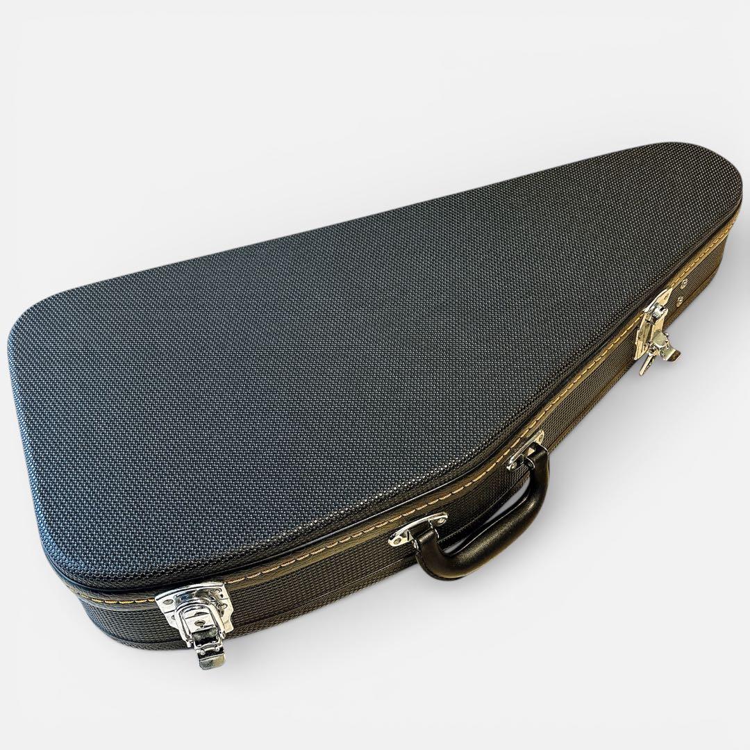 ARIA ACH-210S オートハープ コードハープ ケース 備品付き