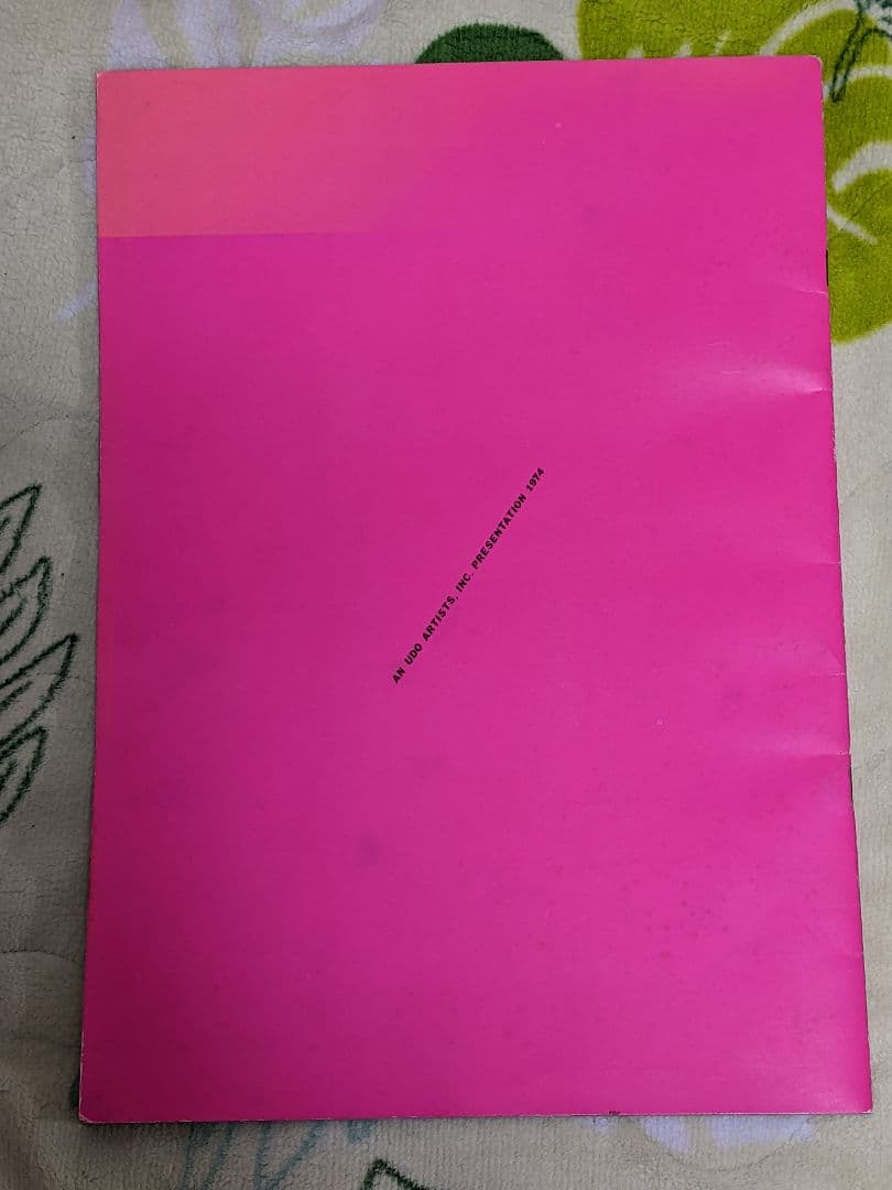 オノヨーコ/YOKO ONO/ツアーパンフレット 1974年