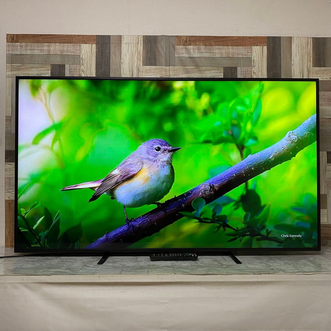 即日受渡❣️全国送料込Panasonic65型液晶ディスプレイスピーカーリモコン付